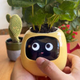 Plantagotchi - Der smarte Blumentopf